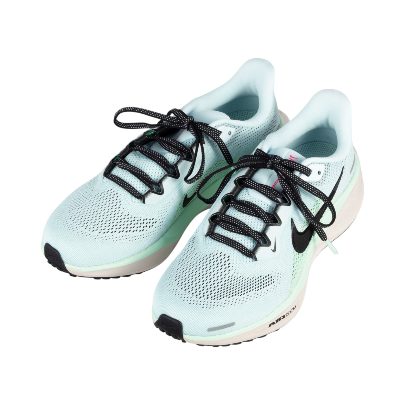 ナイキジャパン NIKE ペガサス 41の口コミ・評判を元に検証して