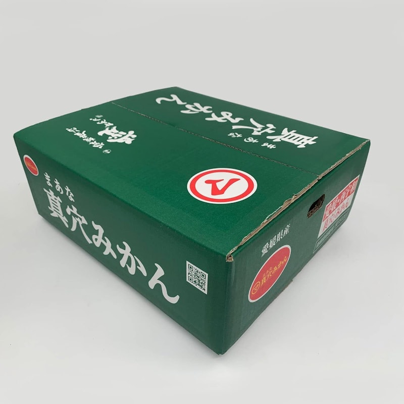真穴みかん 2