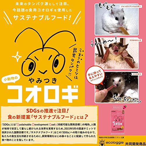 小動物のやみつきコオロギ 4