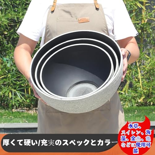 睡蓮鉢 3