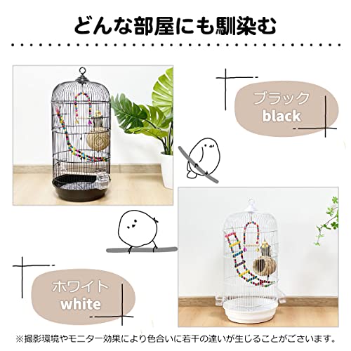バードケージ 7
