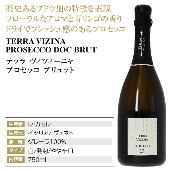 TERRA VIZINA PROSECCO DOC BRUT 6