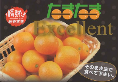 たまたま エクセレント 化粧箱入 1