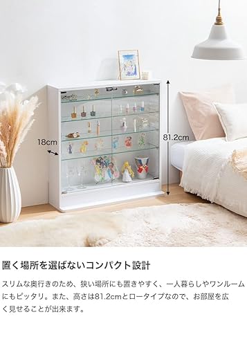 Legen コレクションケース  4