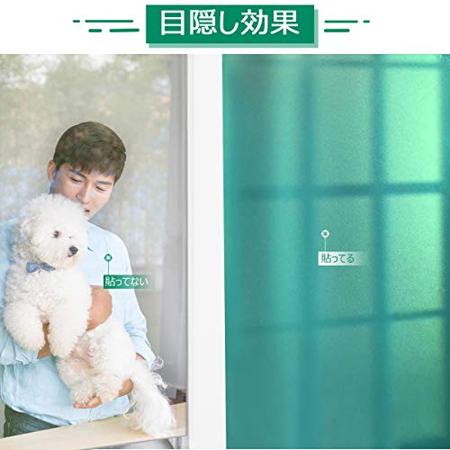 窓用フィルム 2