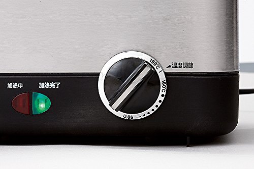 電気フライヤー 2