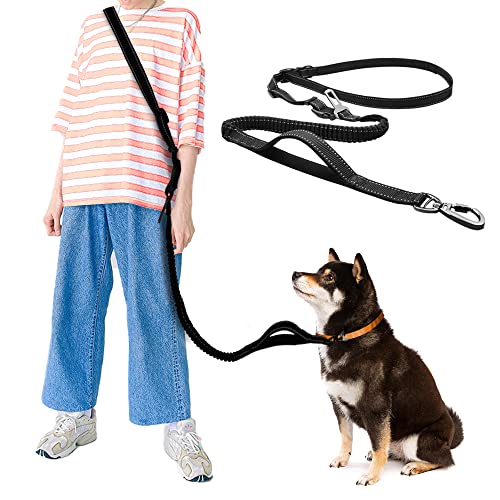 犬用リード 1