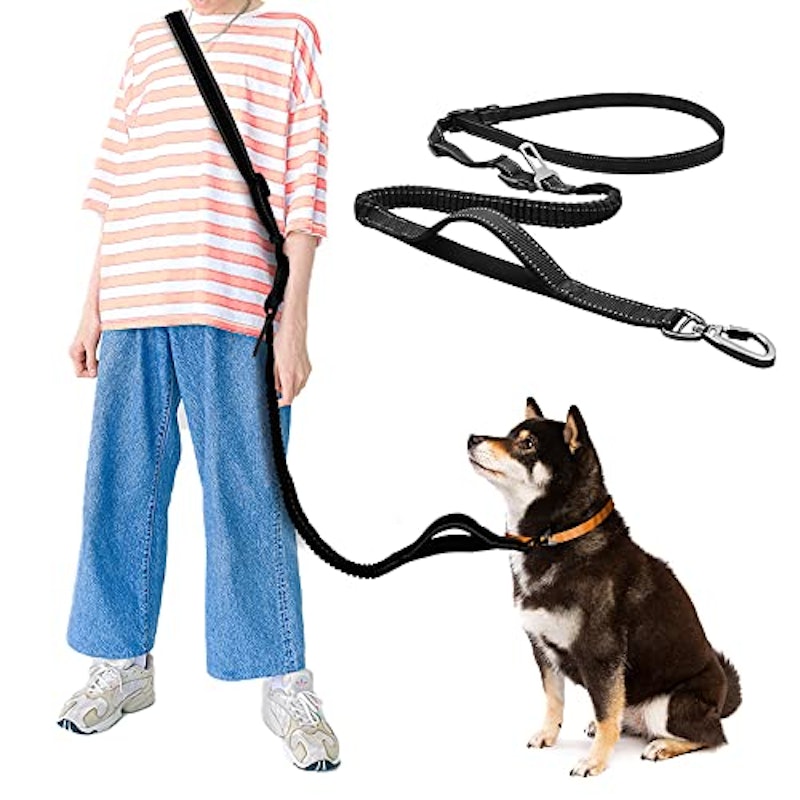 犬用リード 1