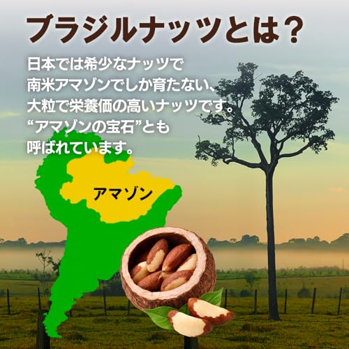 生ブラジルナッツ 4