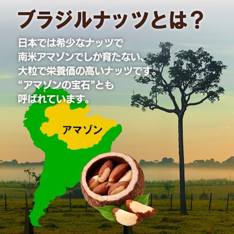 生ブラジルナッツ 4
