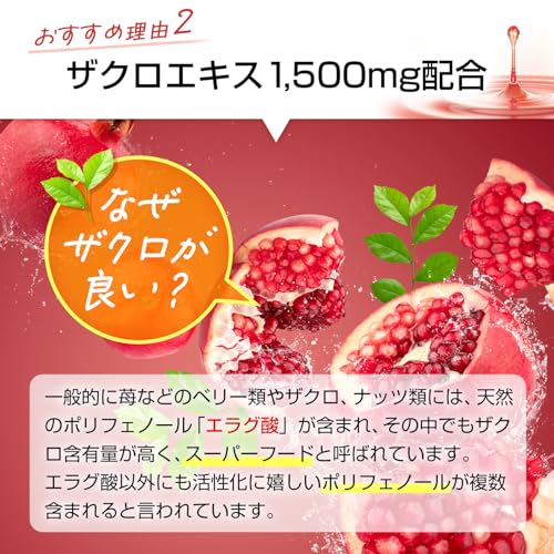 紅参精エブリタイム ザクロ 7