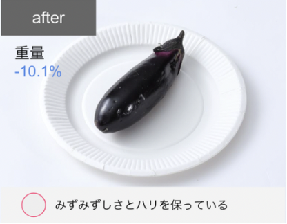 プラズマクラスター冷蔵庫 19