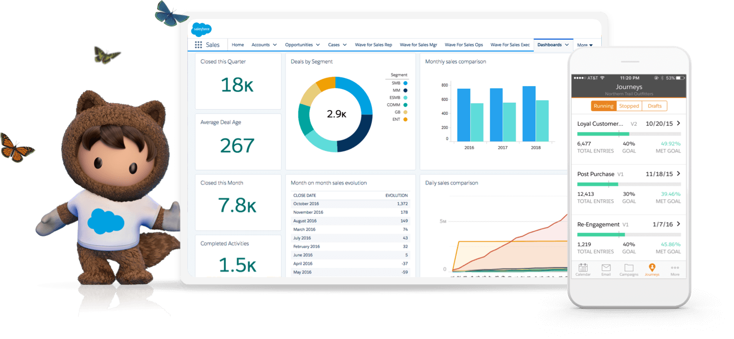 Salesforce 3