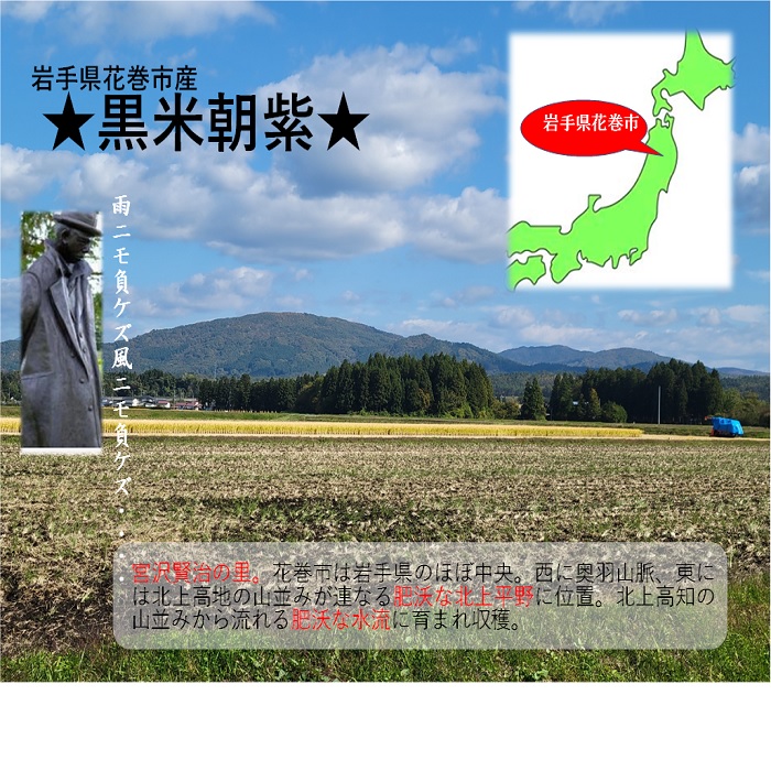黒米 4