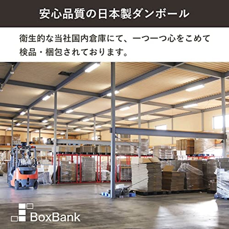 ダンボール 7