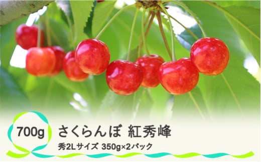 さくらんぼ 紅秀峰 LLサイズ バラ詰め 500g 山形県鶴岡産 鈴木