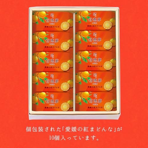 ベビー母恵夢 愛媛の紅まどんな 6