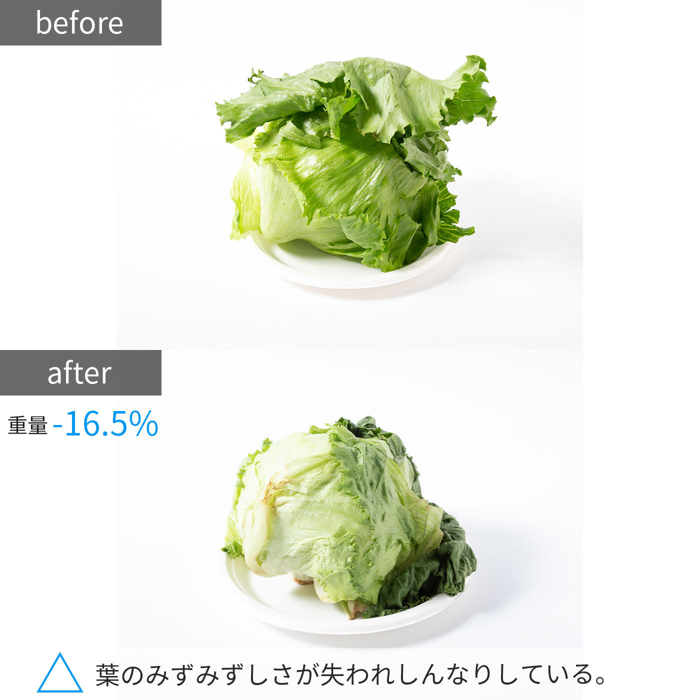 NR−F506HPX 18