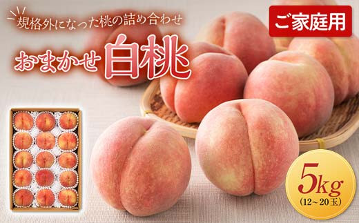 山形県産 白桃 1