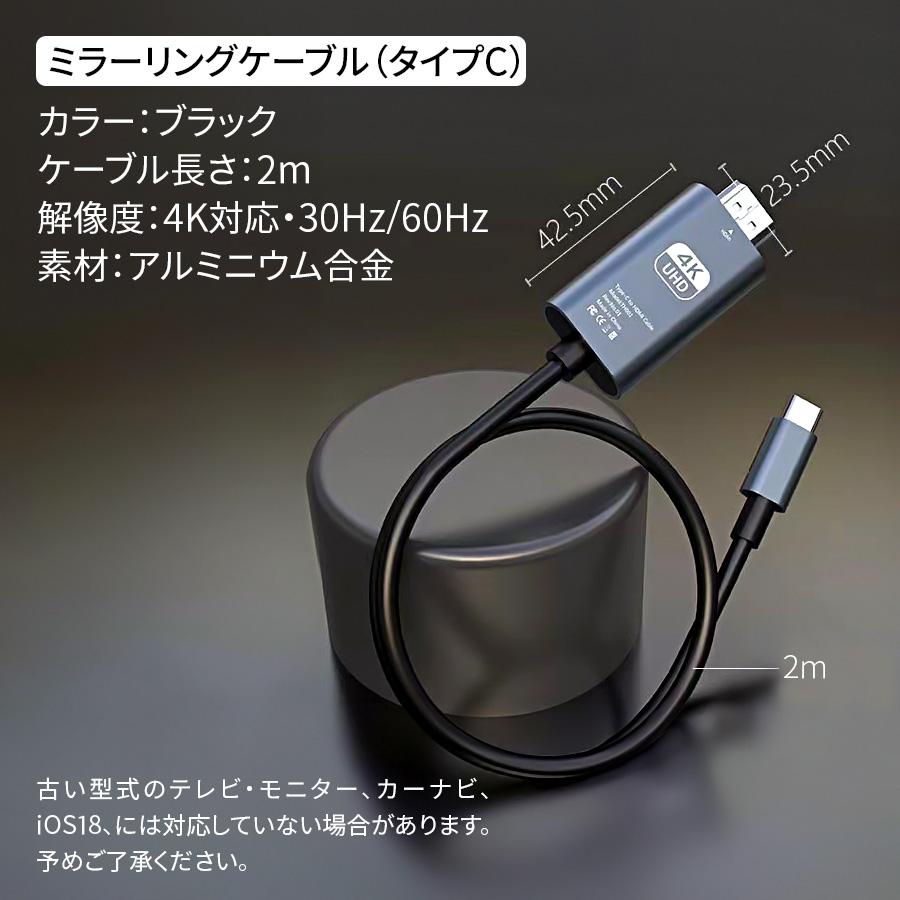 ミラーリングケーブル 2