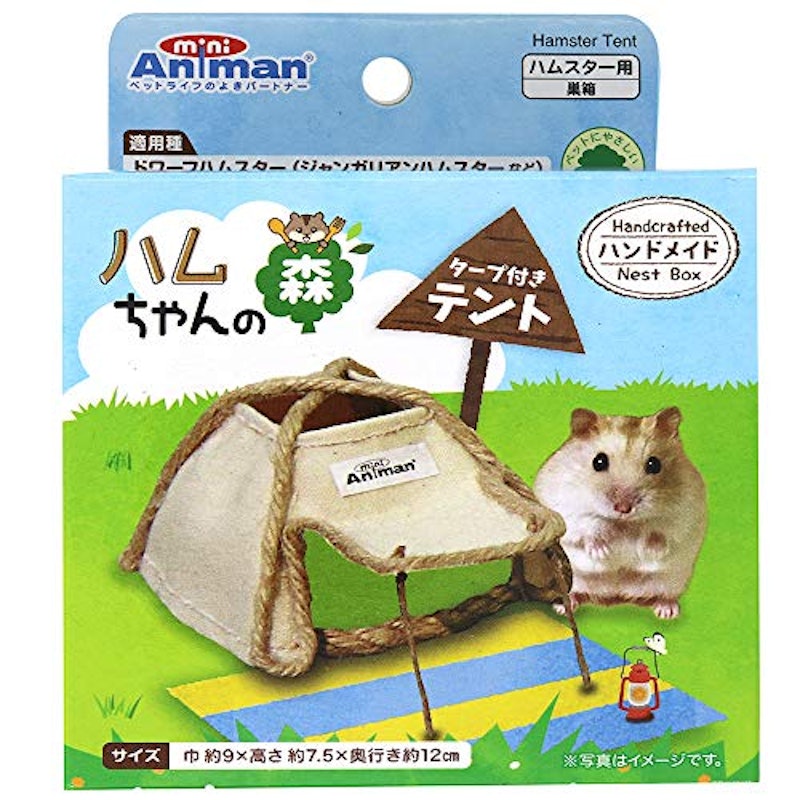 ハムスター用巣箱のおすすめ人気ランキング38選 Mybest ハムスター用巣箱のおすすめ人気ランキング38選 Mybest