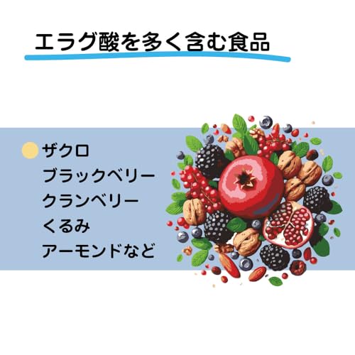エラグ酸120ｍｇ 3