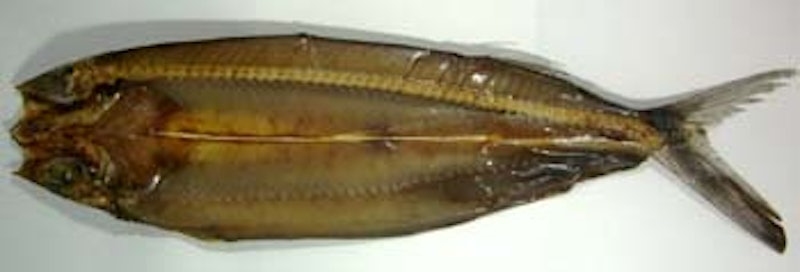 飛魚くさや 2