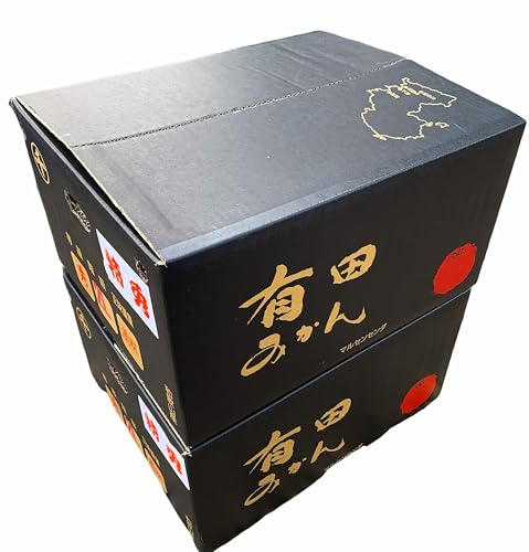 有田みかん 2