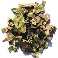 森のこかげ 柿の葉茶 2