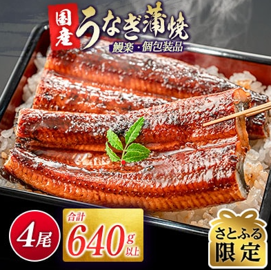 宮崎県新富町産 うなぎ蒲焼 1