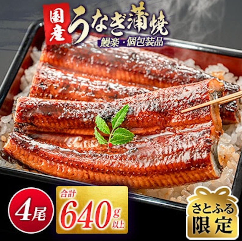 宮崎県新富町産 うなぎ蒲焼 1