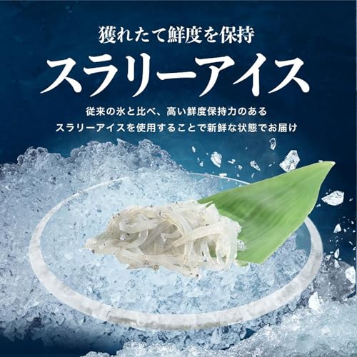 生しらす 4