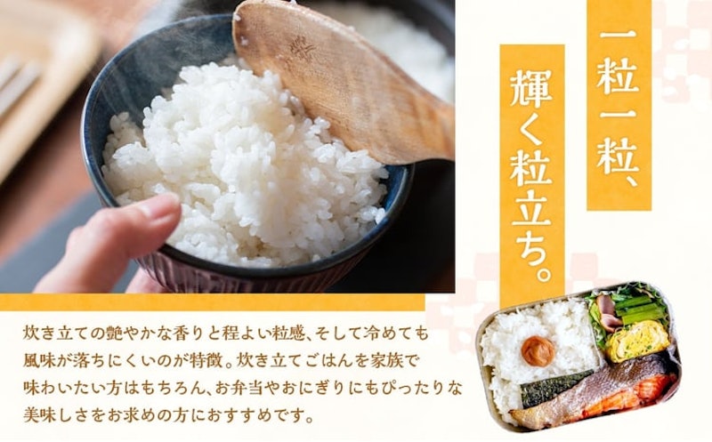 令和8年産 静岡県産 コシヒカリ 5kg 5