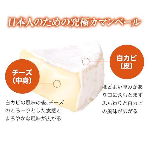北海道十勝カマンベールチーズ 3