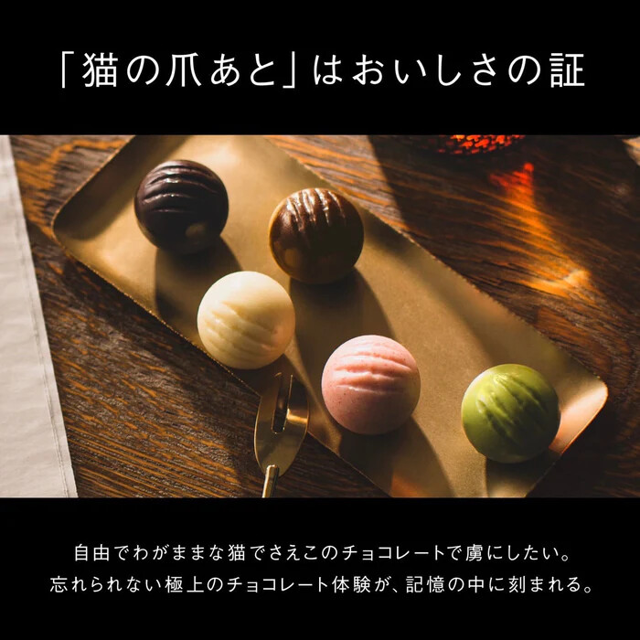 CACAOCAT缶 14個入 RED 5