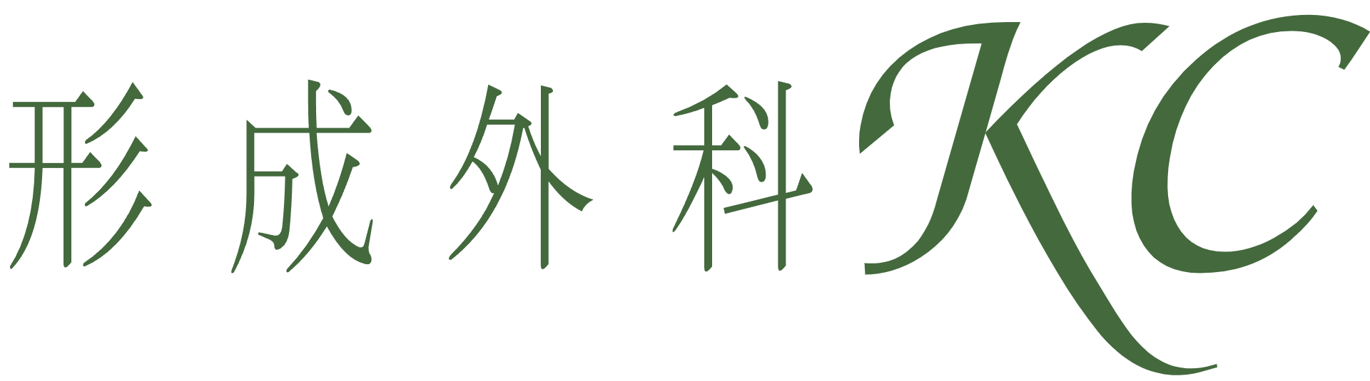 形成外科KC ダーマペン 1