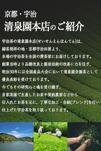 急須で入れるティーバッグ 玉露芽茶 8
