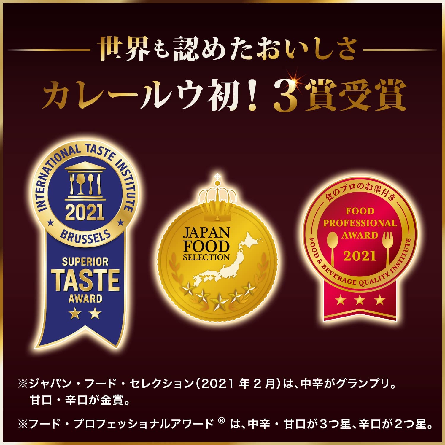 カレーZEPPIN 辛口 3