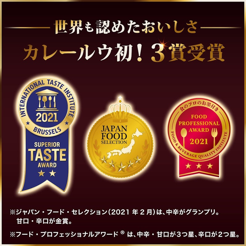 カレーZEPPIN 辛口 3