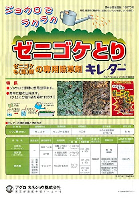 ゼニゴケとり 2