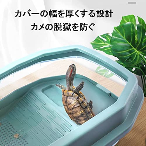 亀の飼育用水槽のおすすめ人気ランキング【2025年】 | マイベスト
