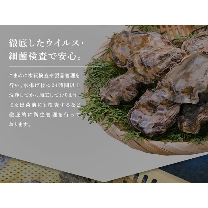 殻つき生牡蠣 8