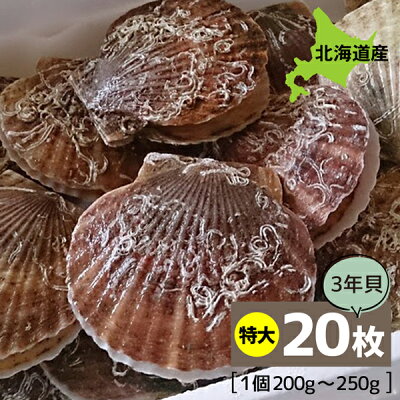 行者ニンニク 250g No.16 北海道産 - 野菜