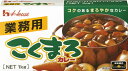 業務用こくまろカレー 1