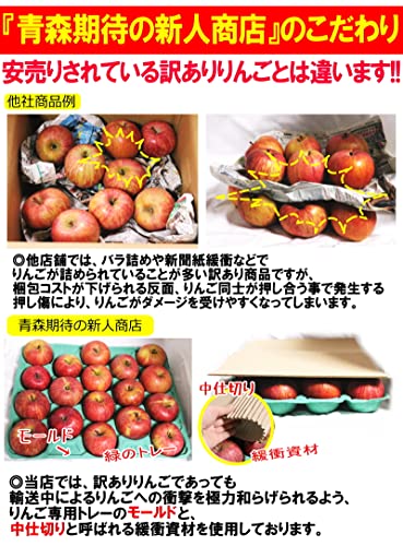 サンふじ 家庭用 4