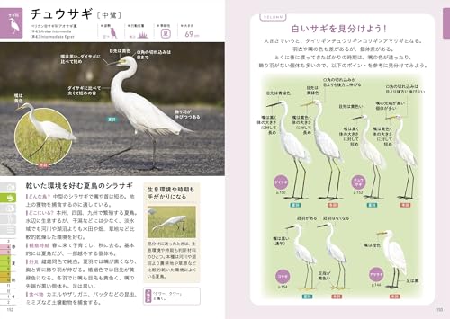 探す、出あう、楽しむ 身近な野鳥の観察図鑑 6