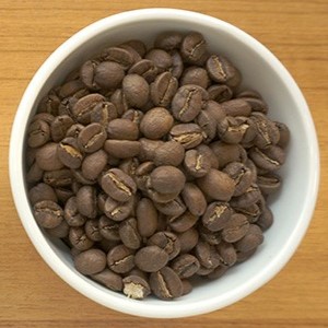 ワールドトラベルセット 21