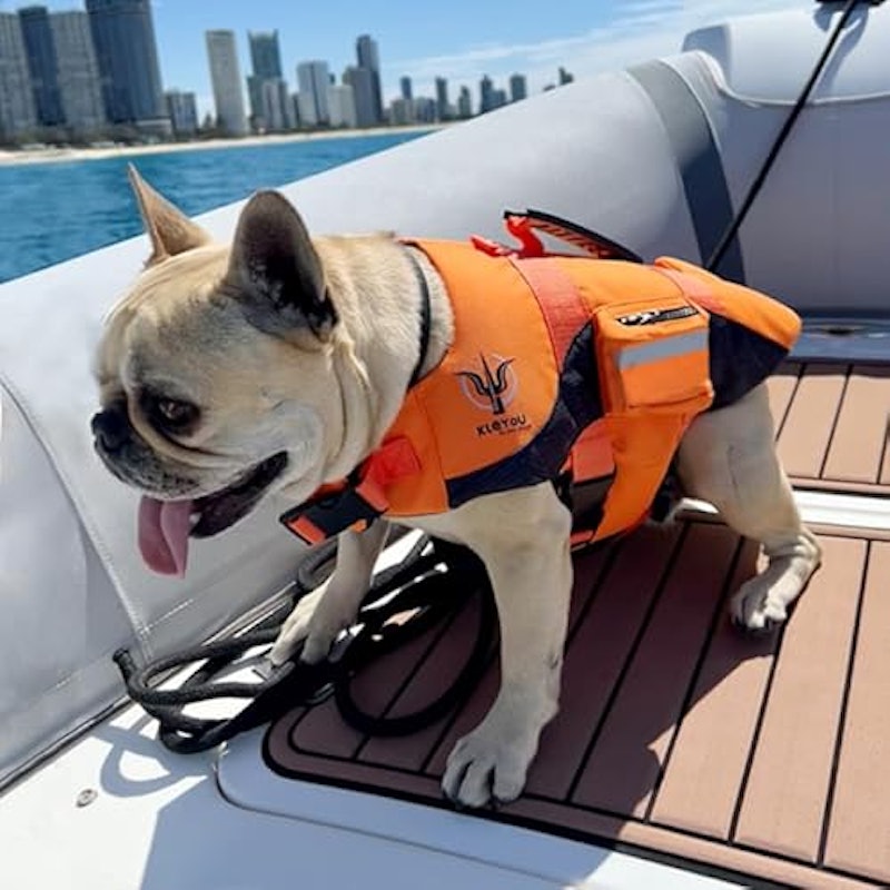 犬用ライフジャケット 2