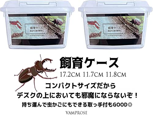 カブトムシ用ケースのおすすめ人気ランキング【2024年】 | マイベスト