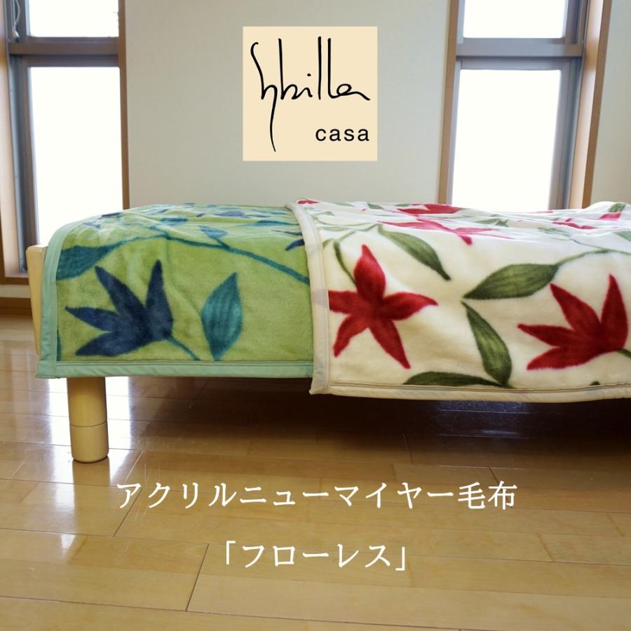 ニューマイヤー毛布 1